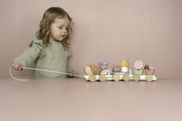 Trenino con costruzioni FSC